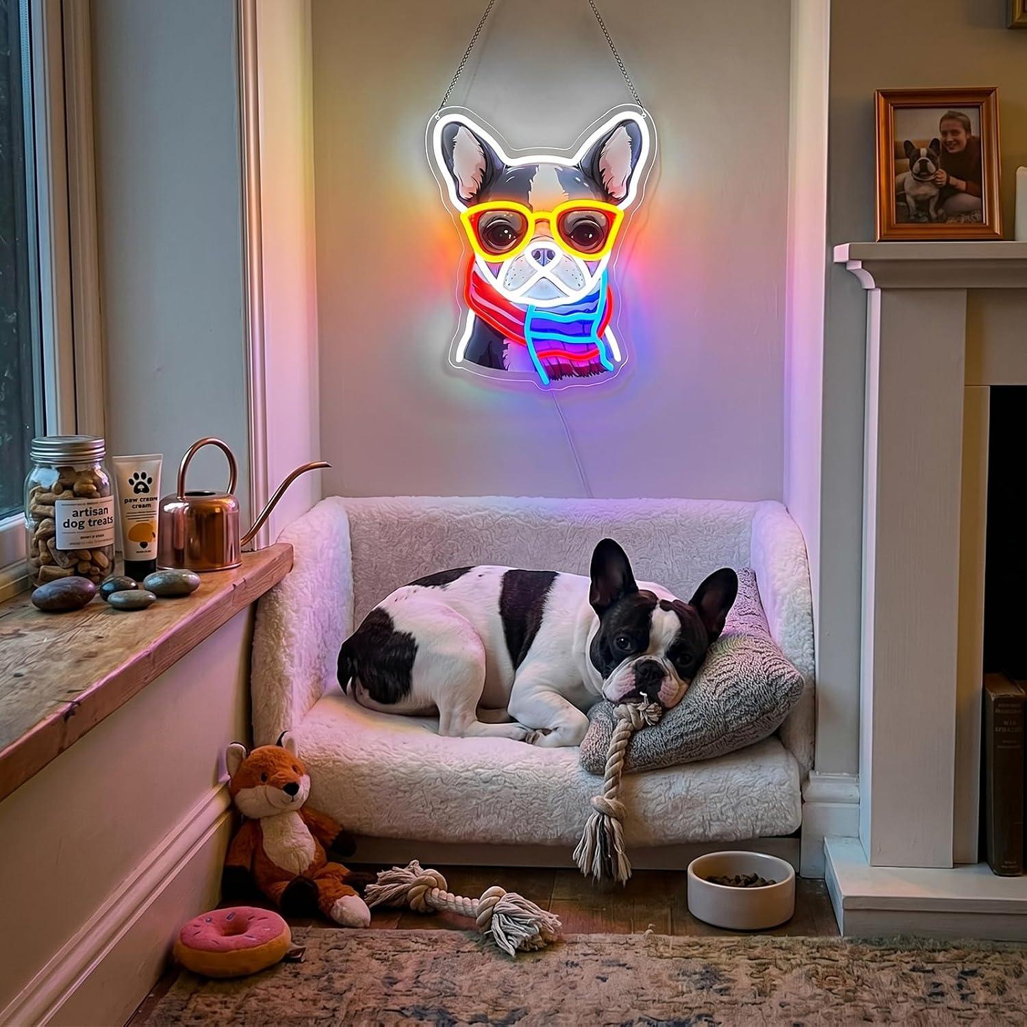 Letreiro Neon de Bulldog Franc - Men'S Grooming Dc avaliação e preço